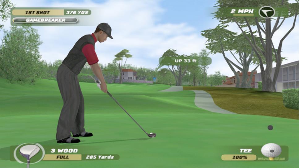 66464-Tiger_Woods_PGA_Tour_06-1.jpg