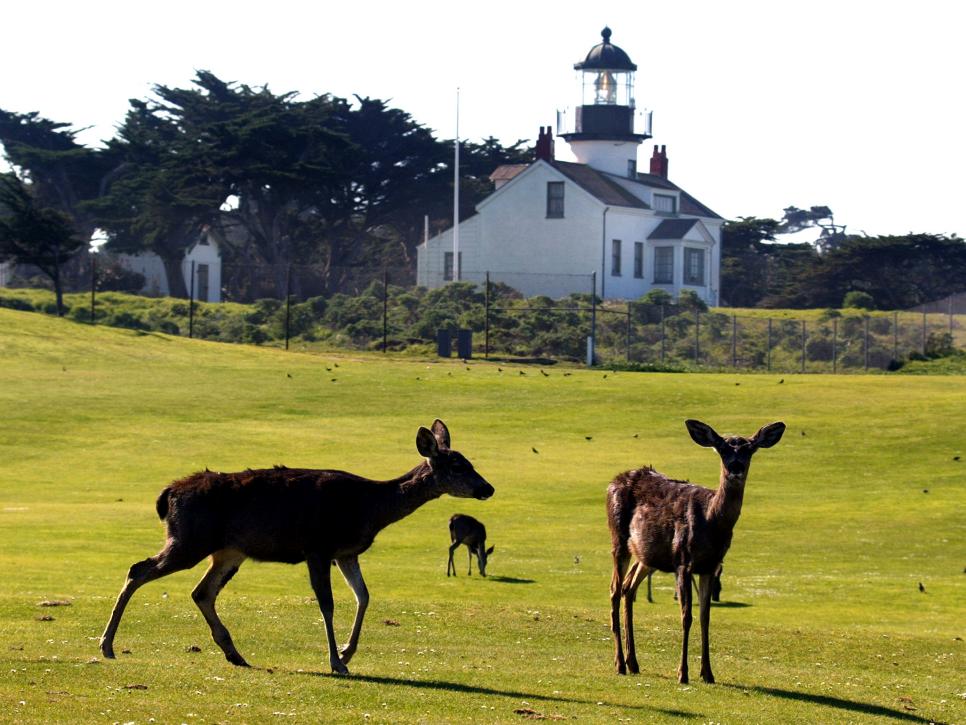 Pacific Grove, Calif. Points Of Interest