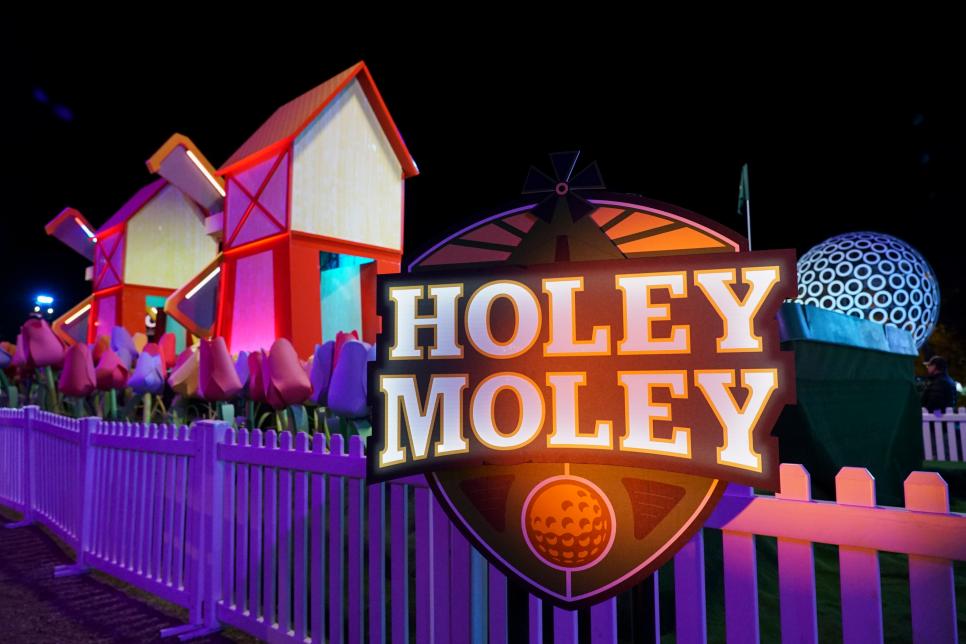 HOLEY MOLEY