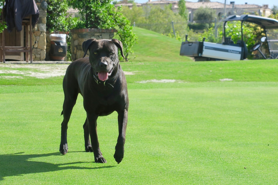 The Bridges at Rancho Santa Fe (Vader).jpg