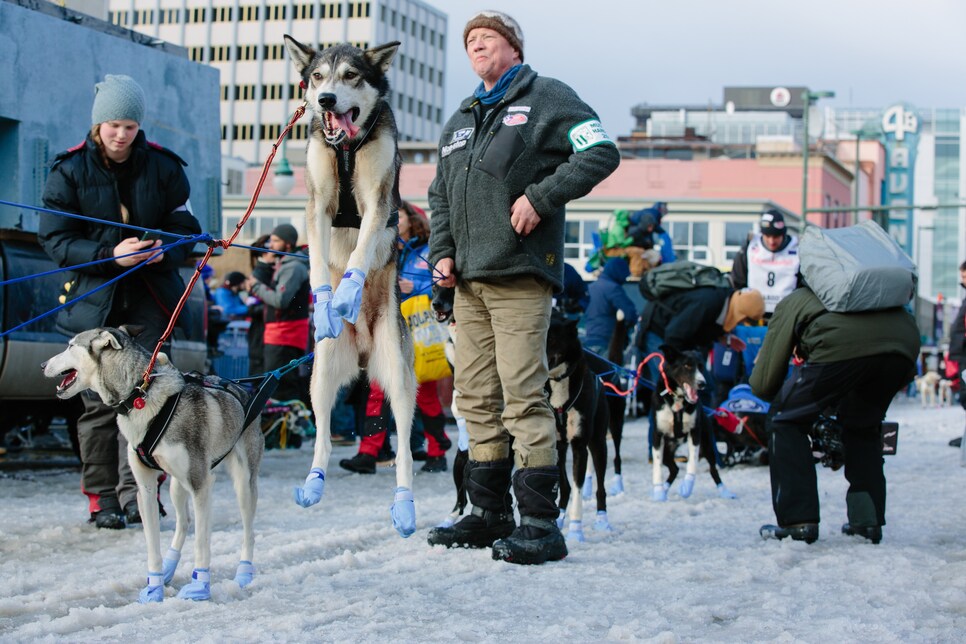 Iditarod Sled Dog Race