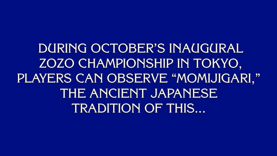 JEOPARDY-Zozo.jpg