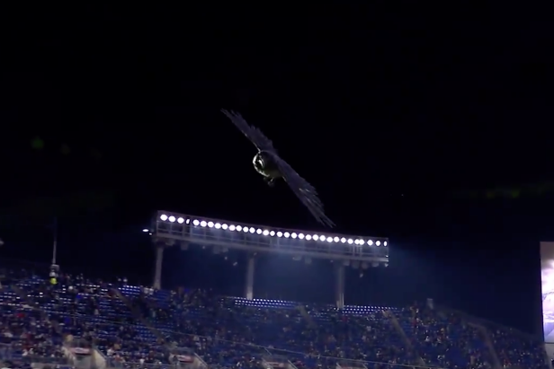 The Baltimore Ravens' new hologram show is going to make a giant mess of  someone's windshield, This is the Loop