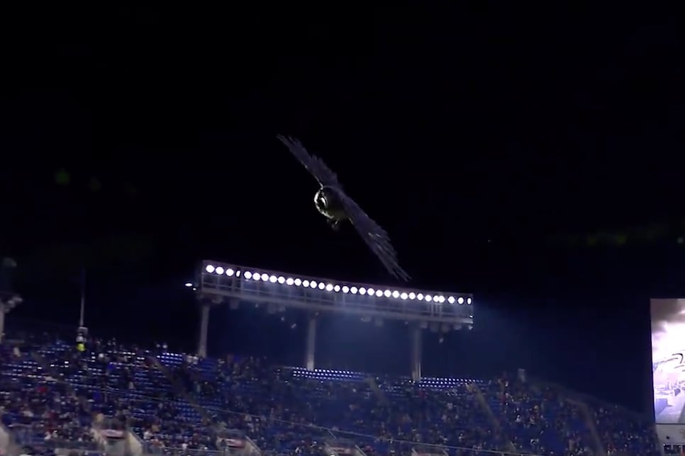 The Baltimore Ravens' new hologram show is going to make a giant