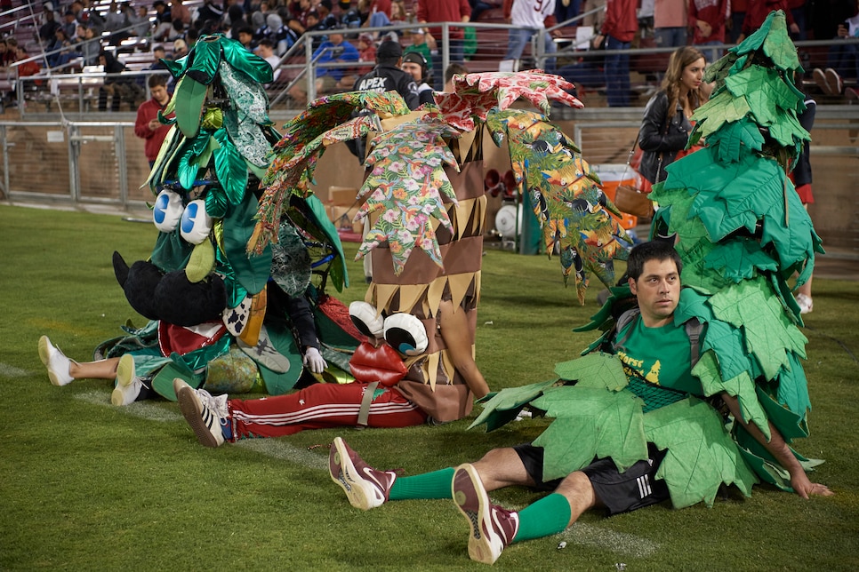 Stanford University vs University of Oregon