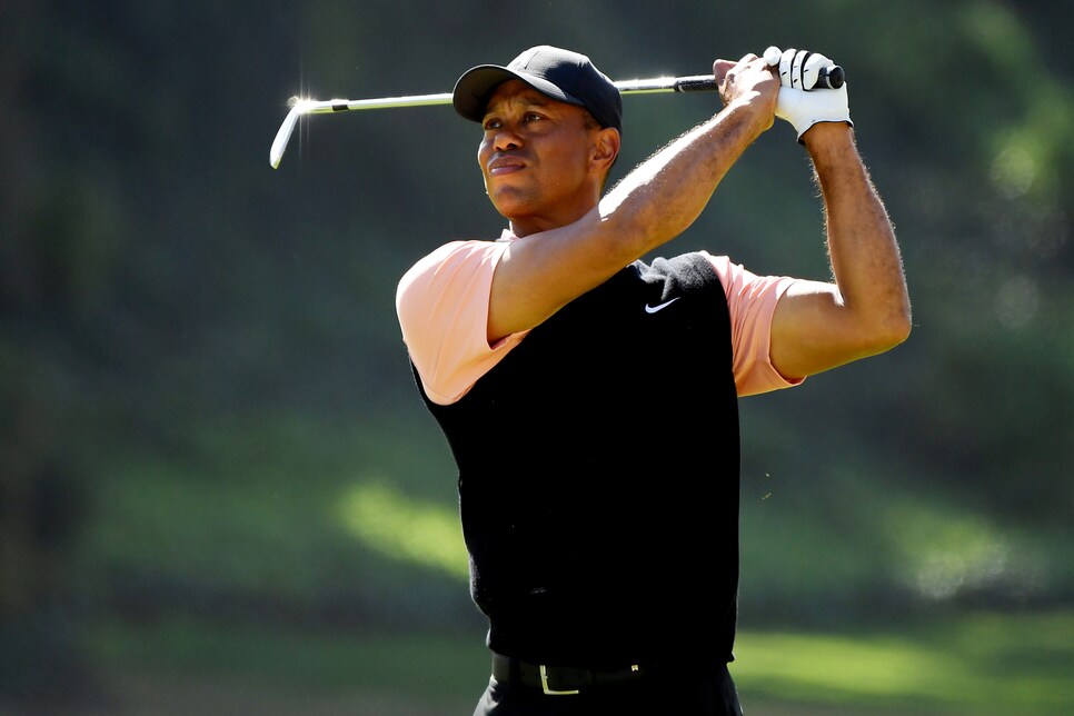 tiger-thursday-riviera.jpg