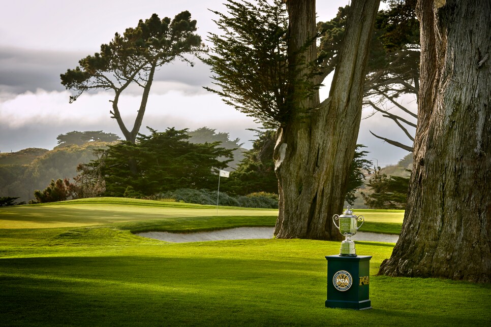 TPC Harding Park Golf Club To Host 2020 PGA Championship