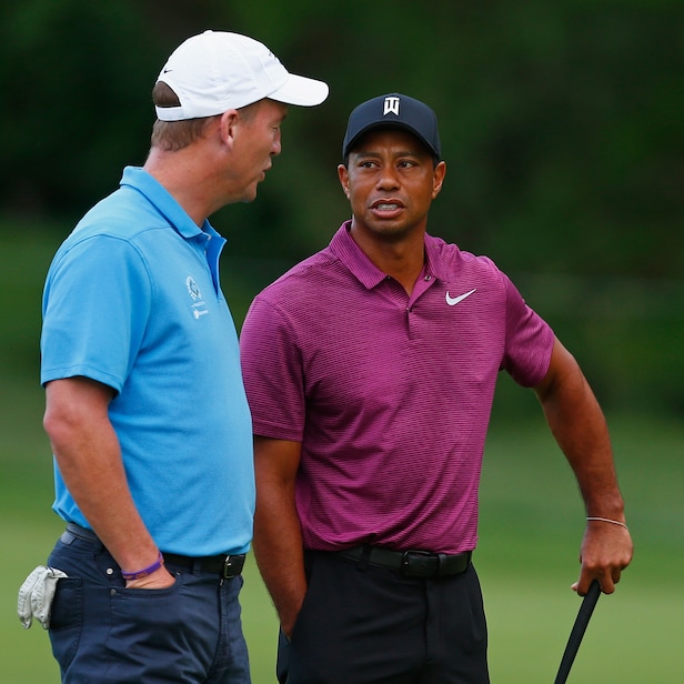 tiger woods purple shirt