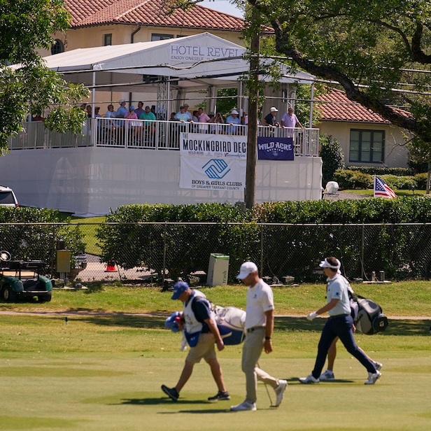 Goofy game of golf life picture