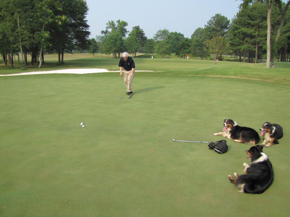 /content/dam/images/golfdigest/fullset/2020/08/Bryan Park Golf, in Greensboro, NC -- Joker.jpg