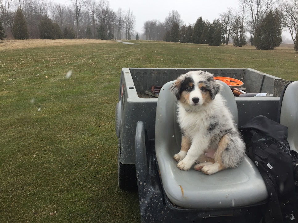 /content/dam/images/golfdigest/fullset/2020/08/Sutton Creek Golf Course, Ontario (Maverick when he was younger).JPG