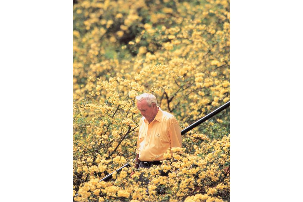 /content/dam/images/golfdigest/fullset/2020/11/dom-furore-masters-best-arnold-palmer-farewell-yellow-lowers-letterbox.jpg