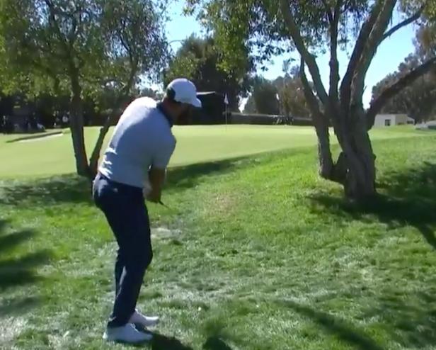 Watch Dustin Johnson peg a tree with a chip shot, become as relatable ...
