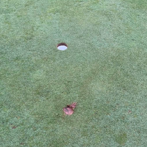 Virginia golf course owner issues wild warning to 'd---heads' who damaged greens
