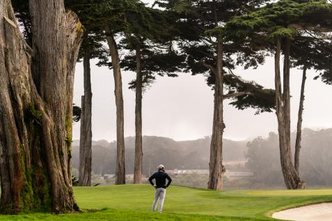 Check Out The Ocean Course’s Iconic Oak and Other Famous PGA Championship Trees