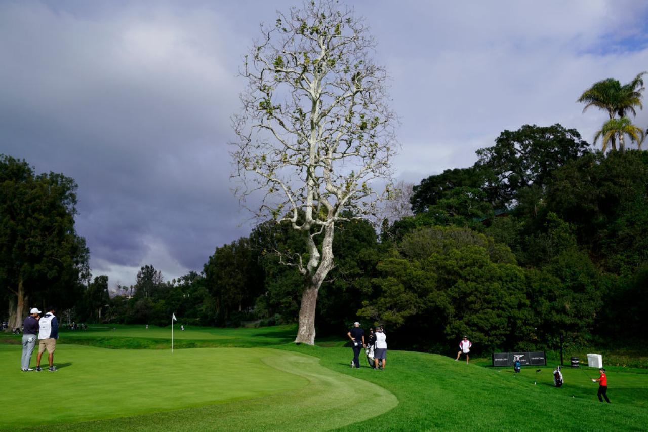 Remember When Rory's Golf Ball Got Stuck in a Tree? | By Madison Elliott |  Golf News and Tour Information | GolfDigest.com