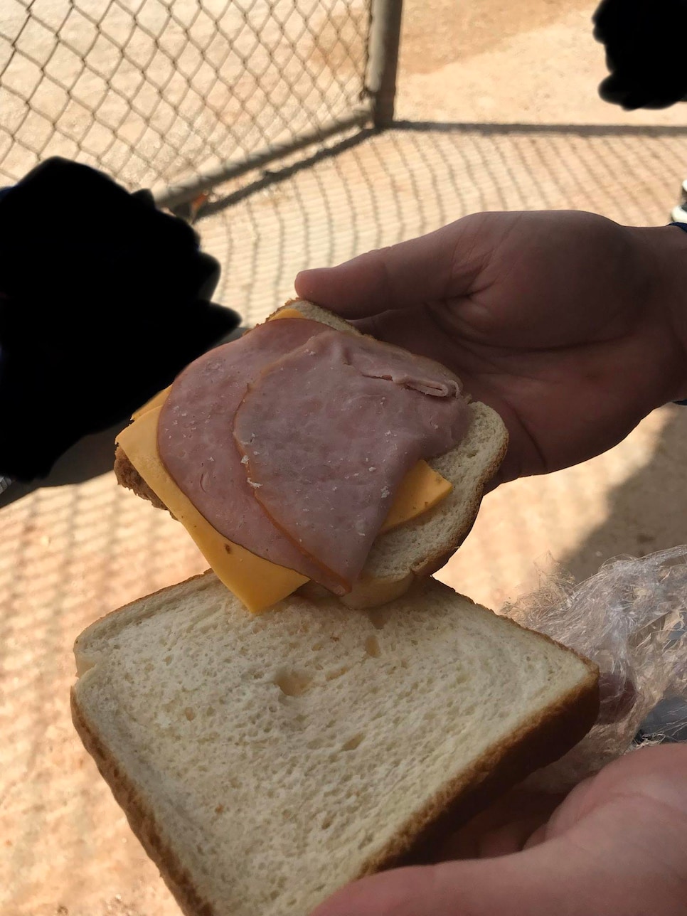 MLB Teams As Ballpark Food