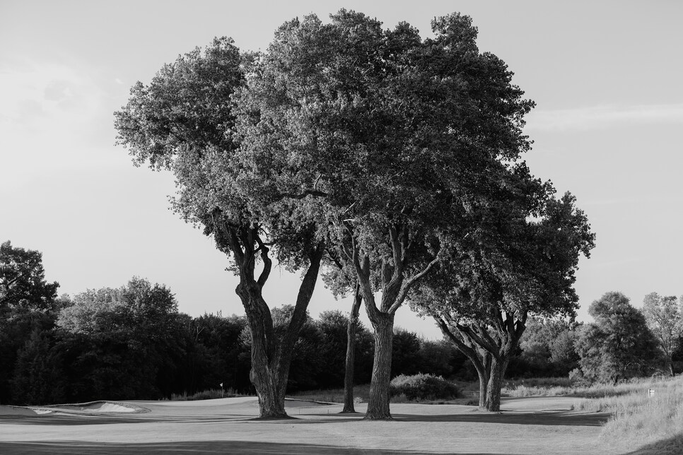 /content/dam/images/golfdigest/fullset/2022/1/GD1022_FEAT_TREES_05.jpg