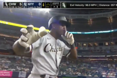 Tim Anderson telling an already silent Yankee Stadium to “f—king shut the f—k up” is the kind of unifying moment that could heal the nation