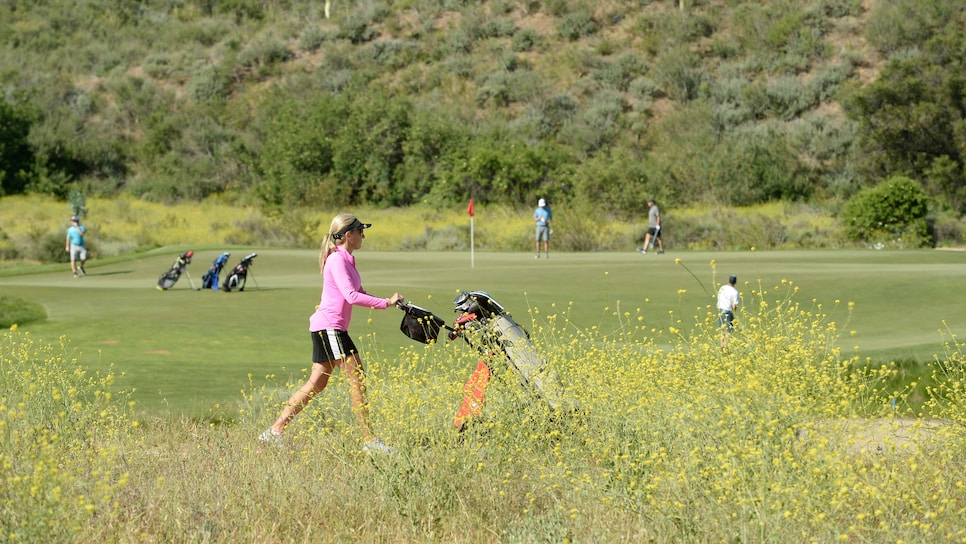 Every play a water lined golf course? Looks like a nightmare to me. : r/golf