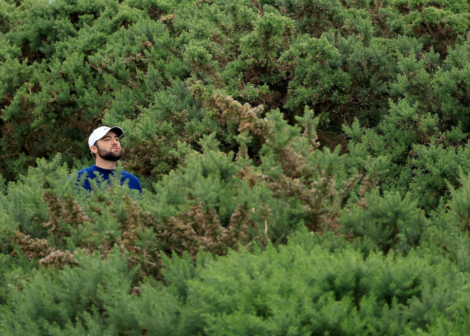 TROON, SCOTLAND - JULY 21: Scottie Scheffler of The United States peers through a gorse to find his line bush before he plays his second shot on the 11th hole during the final round of The 152nd Open championship at Royal Troon on July 21, 2024 in Troon, Scotland. (Photo by David Cannon/R&A via Getty Images)