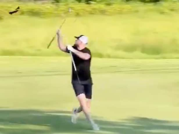 golfer-attacked-by-bird-on-golf-course,-tries-to-claim-it-was-a-‘hawk’