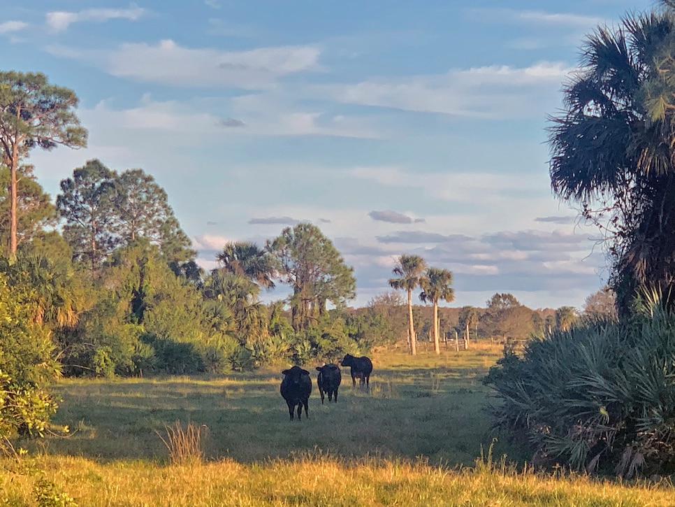 /content/dam/images/golfdigest/fullset/2023/1/The Ranch Hobe Sound 2.jpg