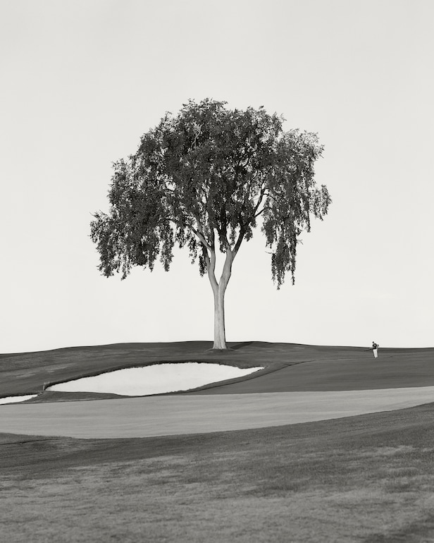 Why The Tree Removal Trend In Golf-course Architecture Has Gone Too Far 