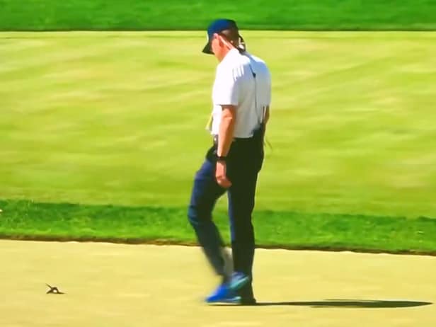 lpga-pro-hits-(possibly-kills?)-bird-with-tee-shot-at-the-us.-women’s-open