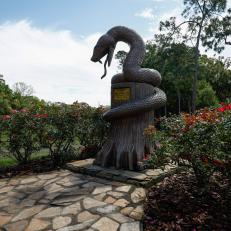 PALM HARBOR, FLORIDA - MARCH 15: General view a copperhead statue named "Striker Guardian of The Snake Pit" portion of the course during the Tampa General Hospital Championship Pro-Am prior to the Valspar Championship at Innisbrook Resort and Golf Club on March 15, 2023 in Palm Harbor, Florida. (Photo by Douglas P. DeFelice/Getty Images)