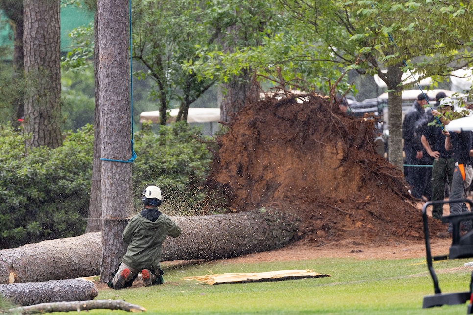 Masters leaderboard: Play suspended as huge tree falls to the ground in  scary scene, Golf, Sport