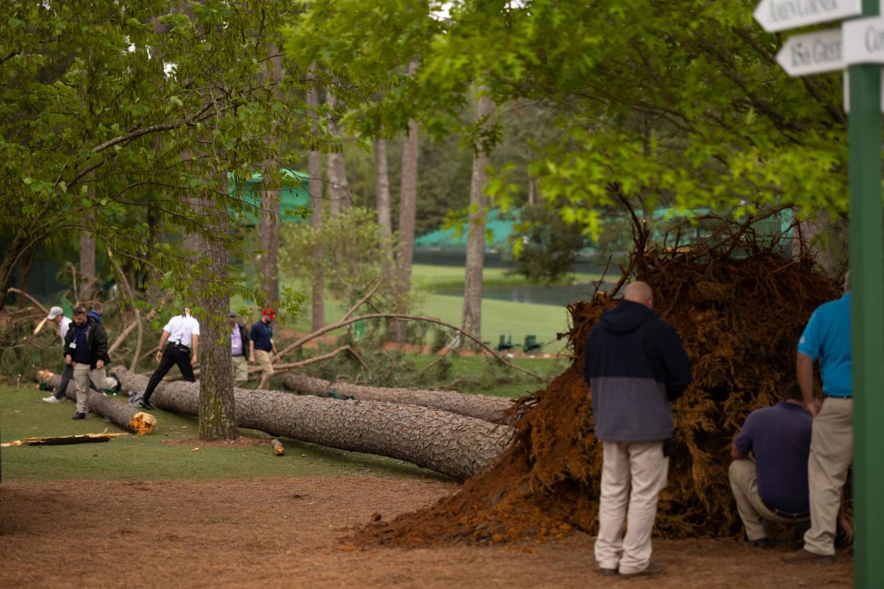 Masters leaderboard: Play suspended as huge tree falls to the