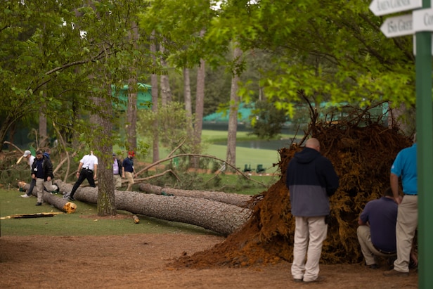 Masters 2023: Scary scene unfolds as trees collapse near patrons at ...