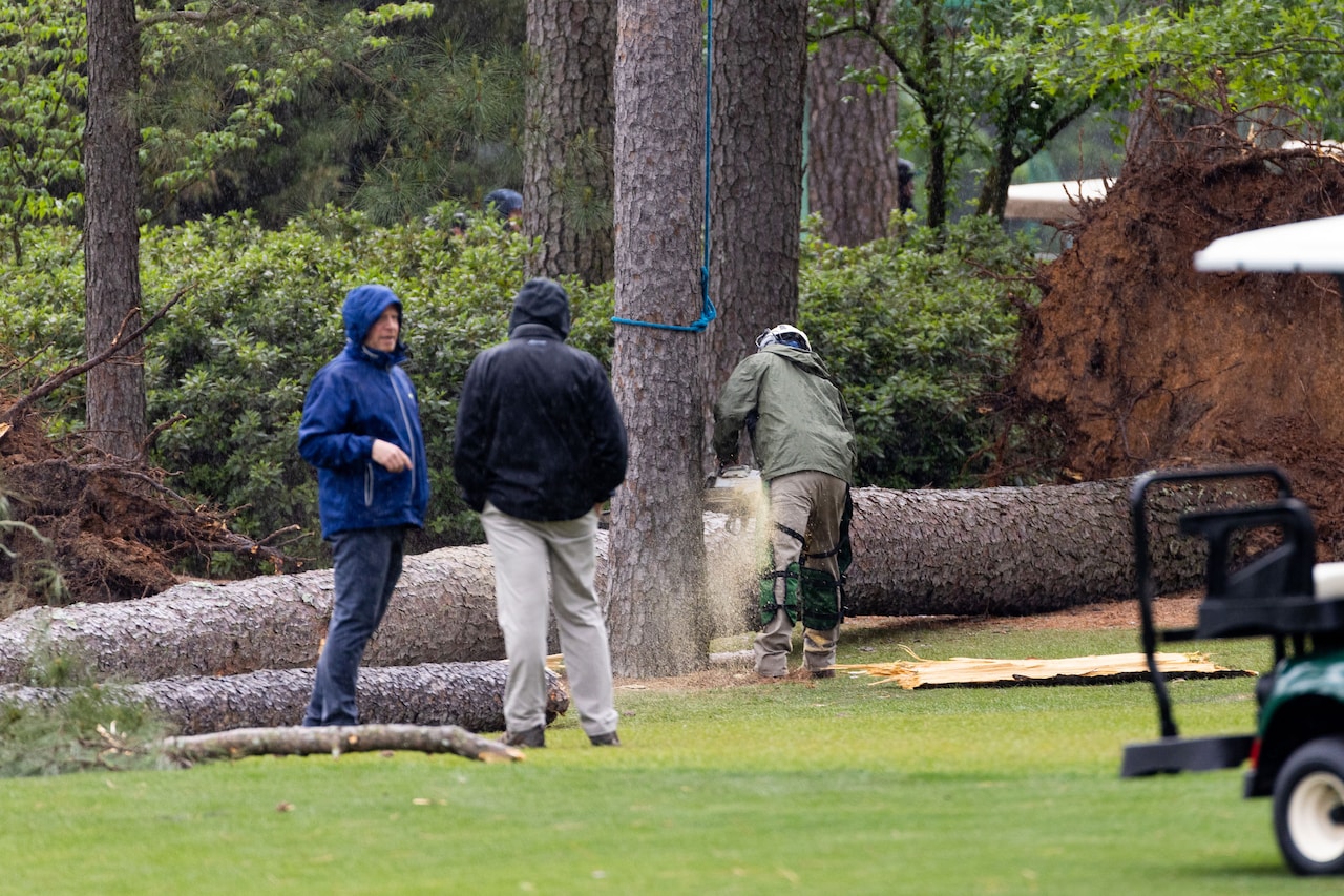 Towering trees fall at 2023 Masters, narrowly missing fans in attendance  (video) 