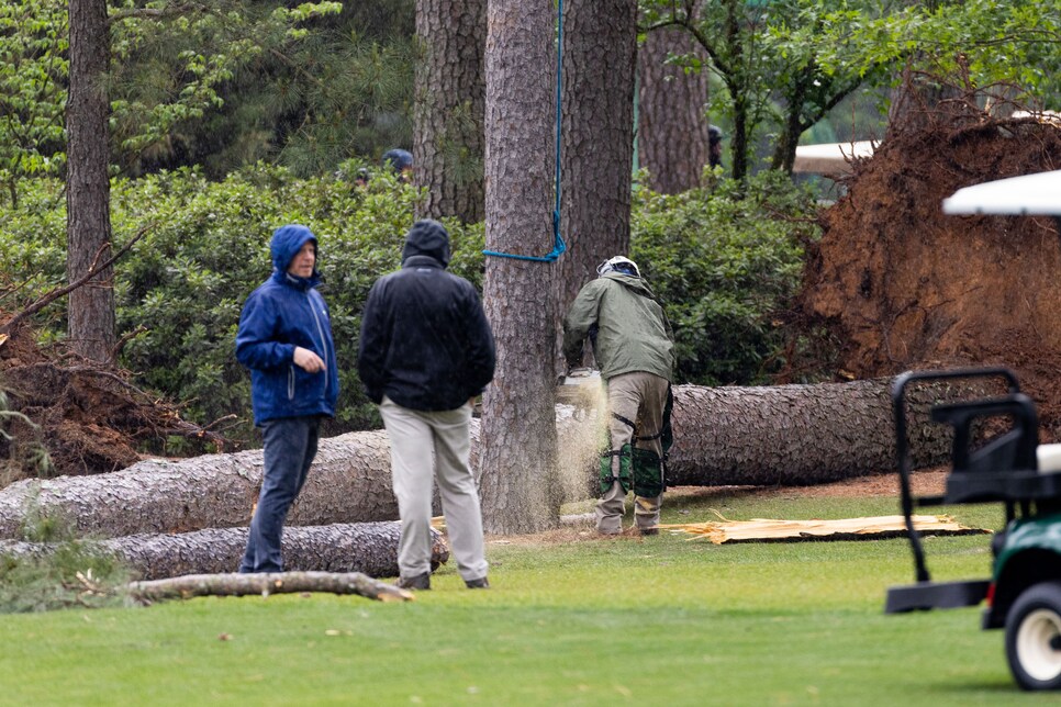 Masters leaderboard: Play suspended as huge tree falls to the ground in  scary scene, Golf, Sport