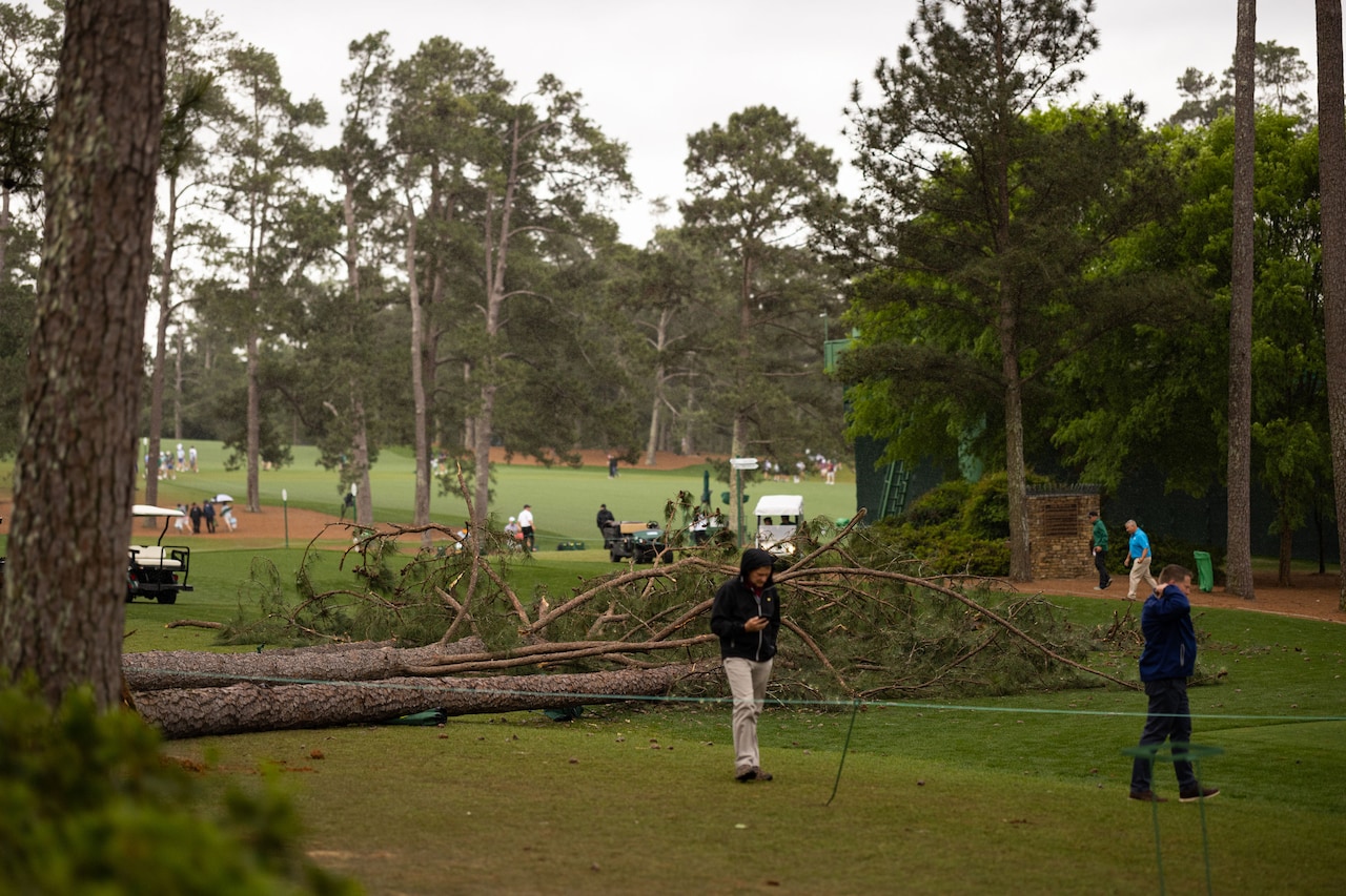 Towering trees fall at 2023 Masters, narrowly missing fans in attendance  (video) 