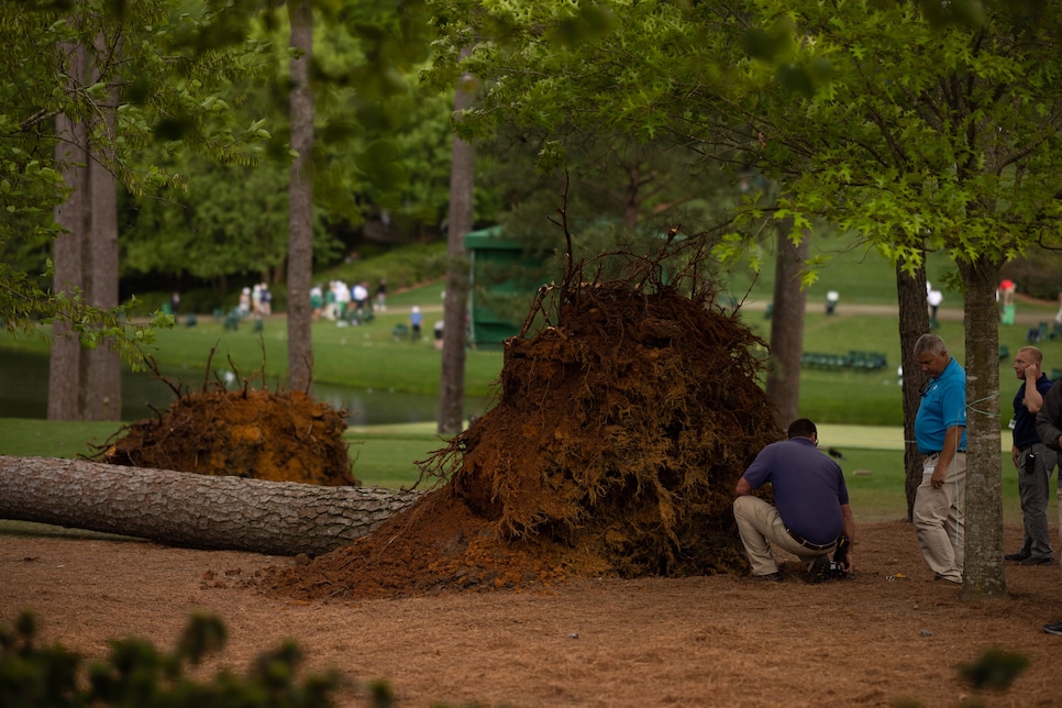 Masters leaderboard: Play suspended as huge tree falls to the ground in  scary scene, Golf, Sport