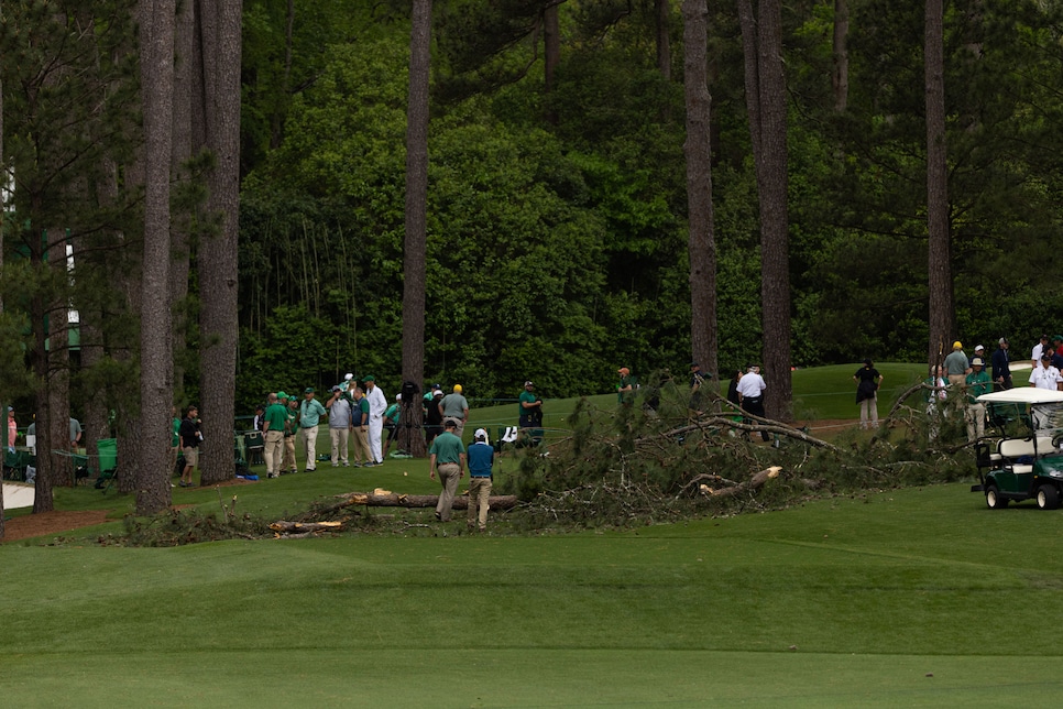 Masters leaderboard: Play suspended as huge tree falls to the ground in  scary scene, Golf, Sport