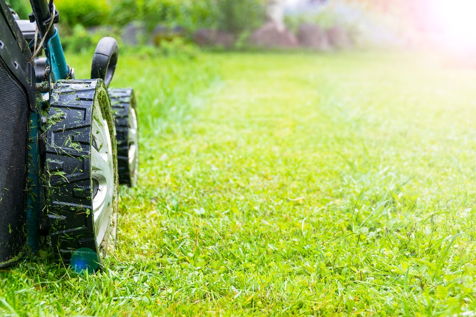 Weekly best sale lawn mowing