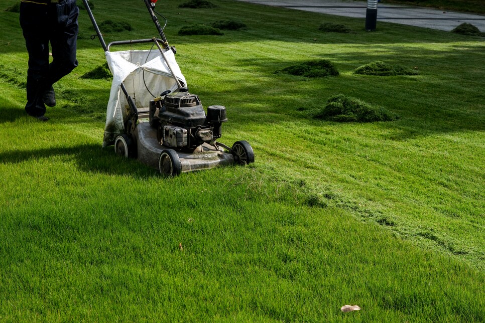 A woman in her backyard mowing grass with a lawn mower on a