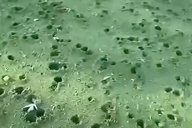 the-footage-of-a-minnesota-golf-course-being-demolished-by-a-hail-storm-will-blow-your-mind-and-break-your-heart