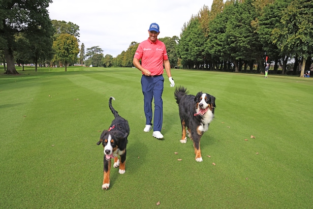 padraig-harrington-played-wednesday’s-irish-open-pro-am-with-his-two-dogs-(and they-got-access-badges)