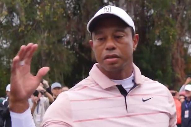 The Tiger Woods big dog meme has officially taken over the Internet