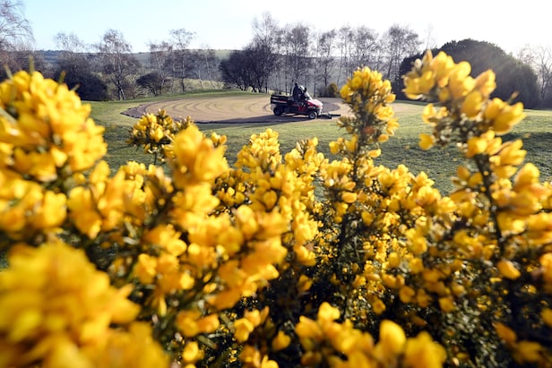 Ask A Super: Why are you coring our greens when they’re in perfect shape?