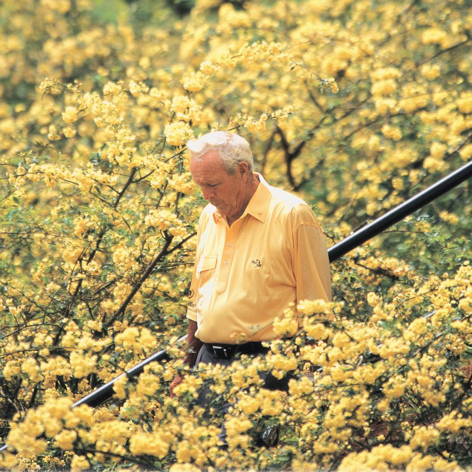 /content/dam/images/golfdigest/fullset/2024/df-pga-of-a-award-photos/dom-furore-arnold-palmer-yellow-flowers-masters-square.jpg