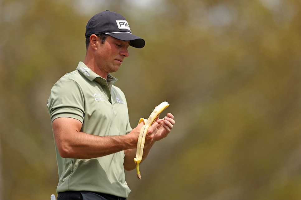 PALM HARBOR, FLORIDA - MARCH 23: Viktor Hovland of Norway eats a banana on the fifth hole during the final round of the Valspar Championship 2025 at Innisbrook Resort and Golf Club on March 23, 2025 in Palm Harbor, Florida. (Photo by Brennan Asplen/Getty Images)