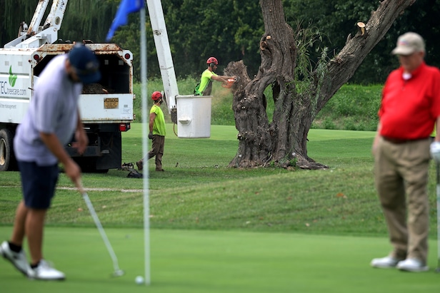 Judge goes scorched earth after Trump Administration removes at least 430 trees from East Potomac in