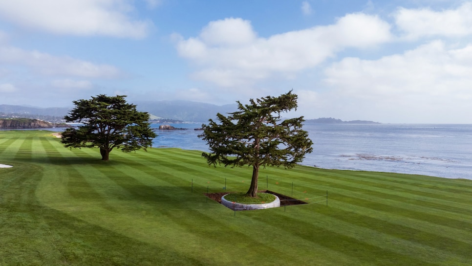 /content/dam/images/golfdigest/fullset/2026/pebble.18.new.tree-2026.png