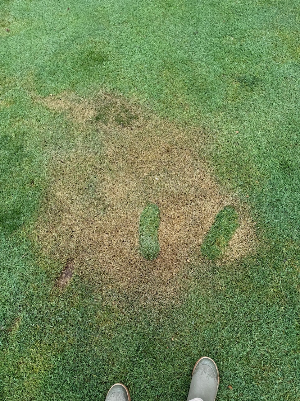 /content/dam/images/golfdigest/fullset/bug spray damage on golf course.jpeg