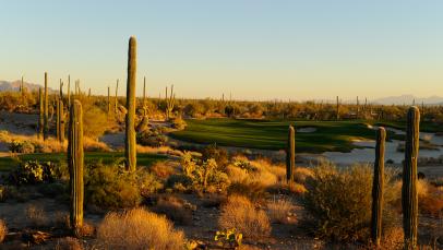 26. (25) Golf Club At Dove Mountain: Saguaro/Tortolita